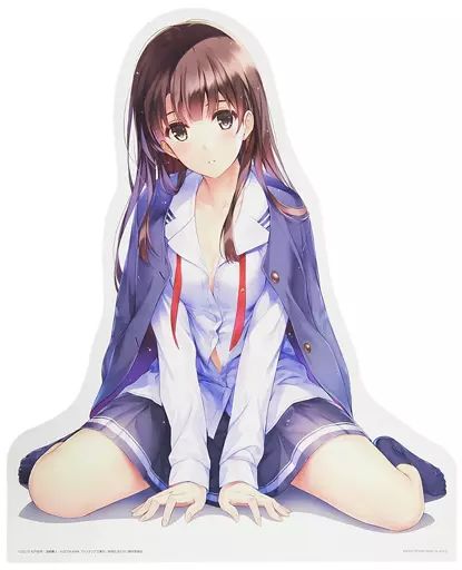 D賞 描きおろし Fine」の一番くじが登場！ 劇場版「冴えない彼女の育てかた ロングヘアver.【送料込み】 特大パネル 加藤恵 その他