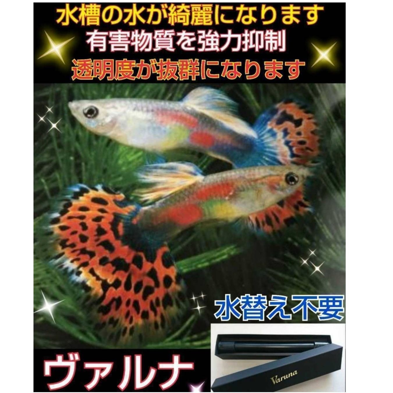 水槽の水が綺麗になります【ヴァルナミニ8㎝】水槽に入れるだけ！水