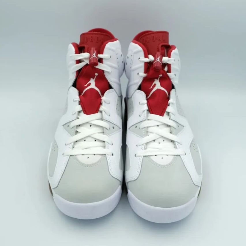 NIKE AIR JORDAN 6 RETRO ALTERNATE ナイキ エア ジョーダン 6