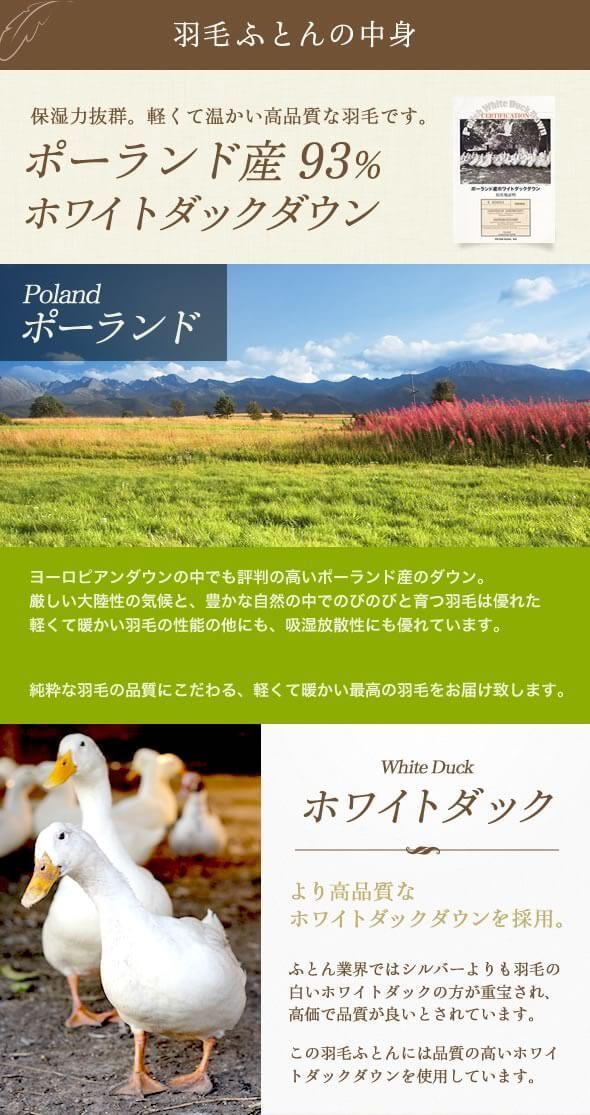 ポーランド産 370dp