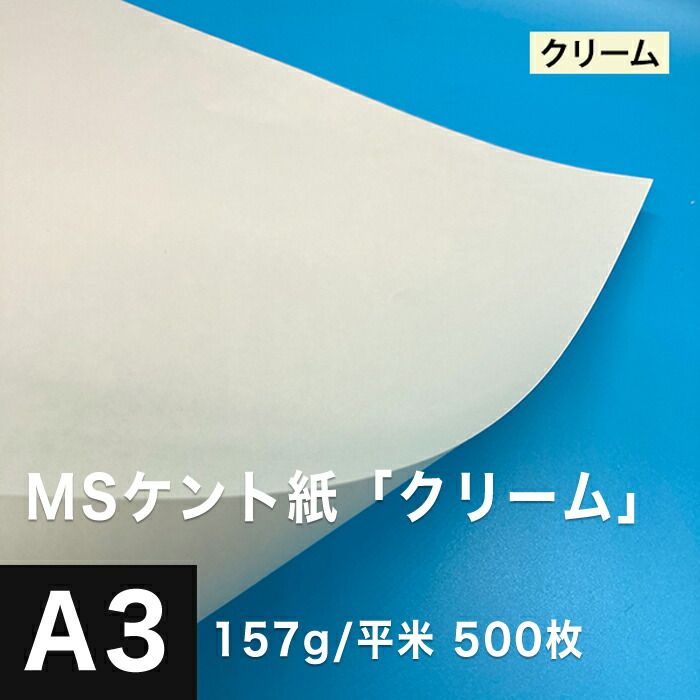 図書カード末永くよろしくお願いします　図書カード (⚠️使用済み残高0円) 図書カード末永くよろしくお願いします図書カード (⚠️使用済み残高0