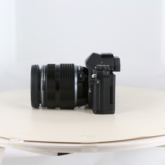 老眼鏡 +5.0 モスキーノ オーバル MO261 レッド 新品 薄型レンズ