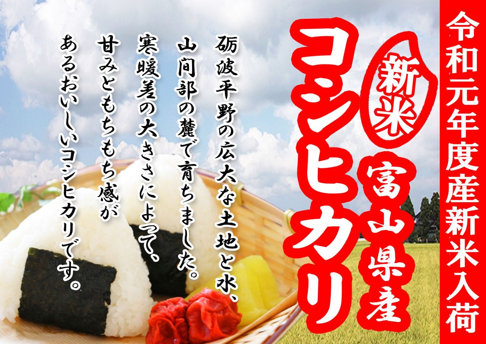 食用