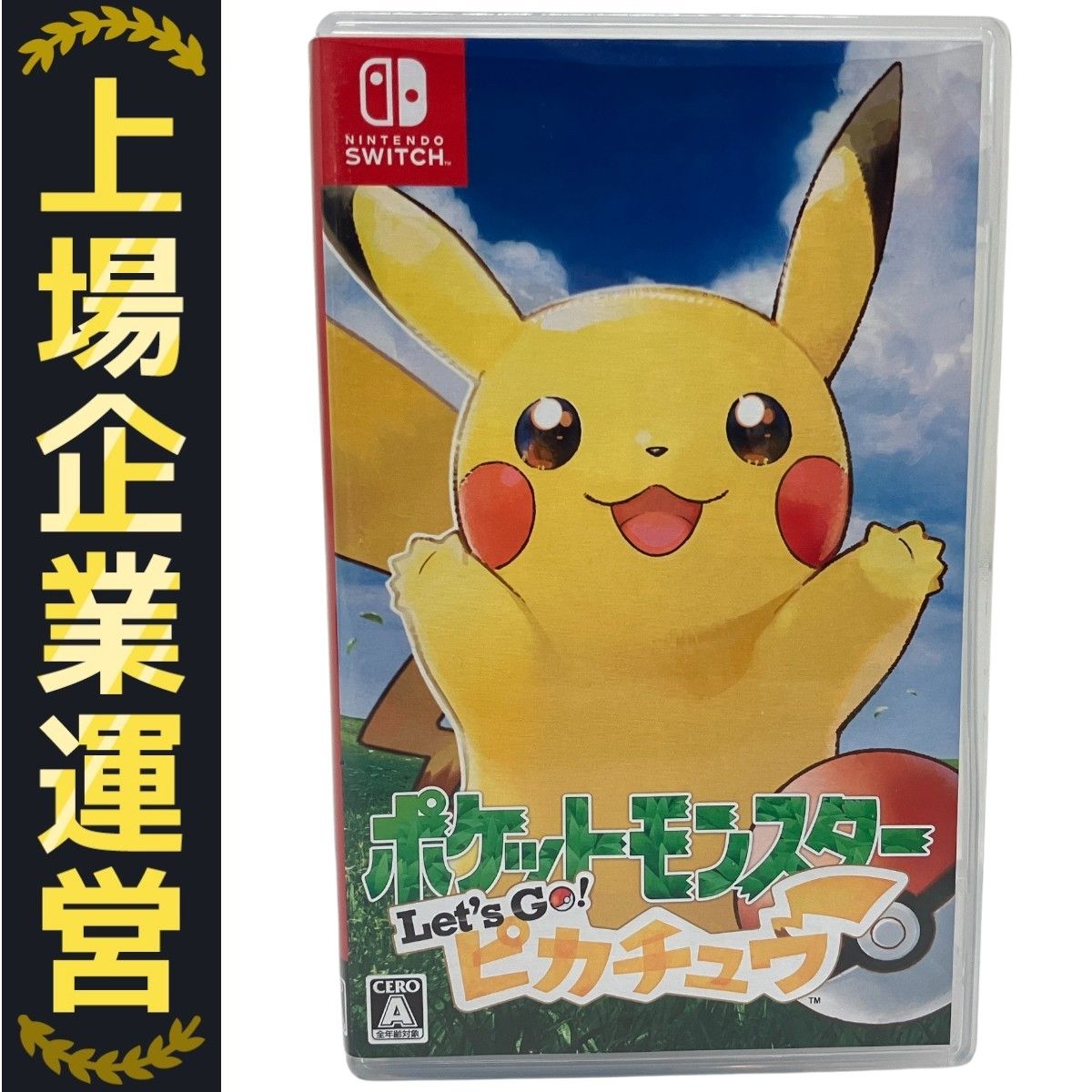 NINTENDO SWITCH ポケットモンスターピカチュウ Nintendo Switch専用カードケース カードポケット24