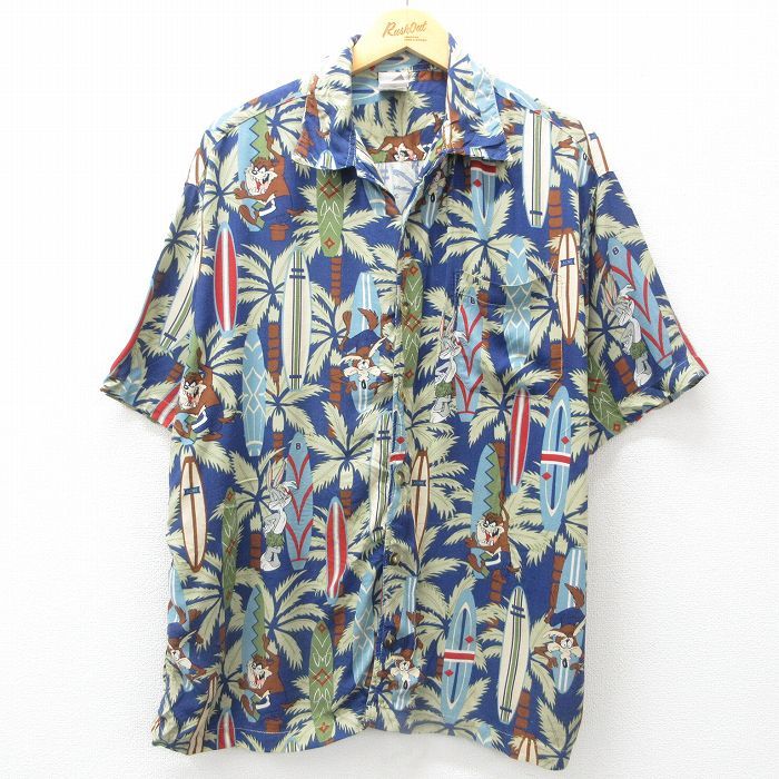 A261 多肉植物 アガベ ピンキー 王妃笹の雪A型 白覆輪斑 精選極上美株