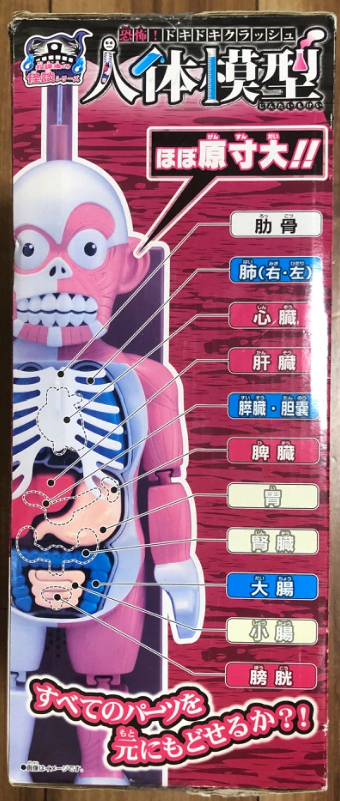 アウトレット品】メガハウス 放課後の怪談シリーズ 恐怖！ドキドキ