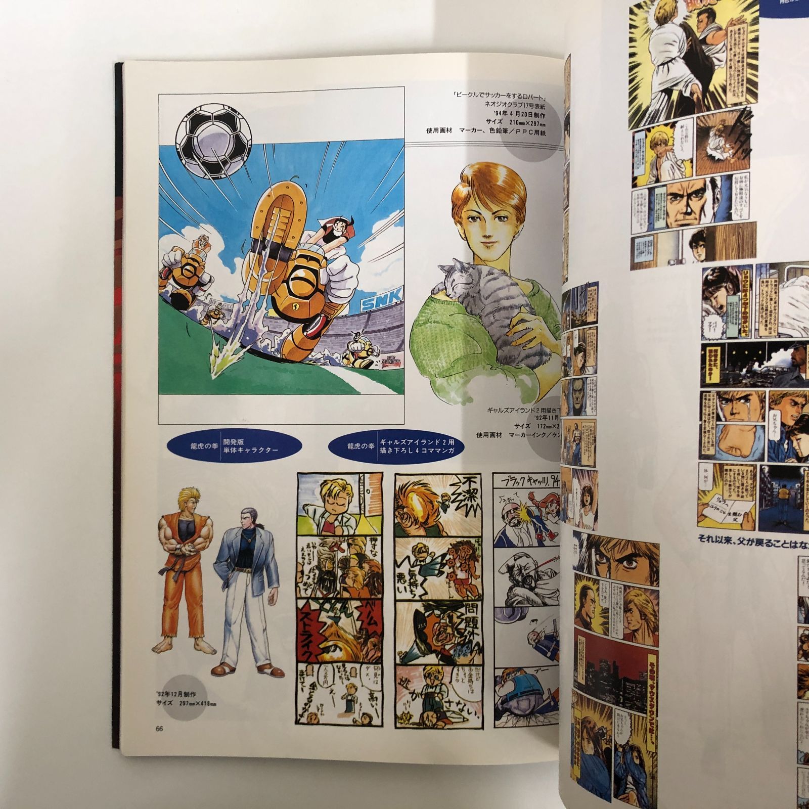 SNKイラストレーションズ エスエヌケイ イラスト作品集 Amazon.co.jp: SNKイラストレーションズ エス・エヌ・ケイ