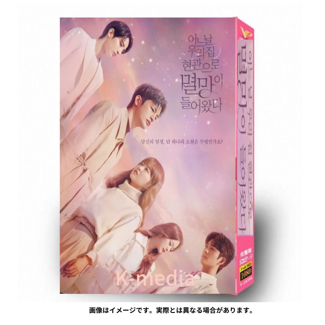 韓国ドラマ】ある日、私の家の玄関に滅亡が入ってきた 全話 DVD