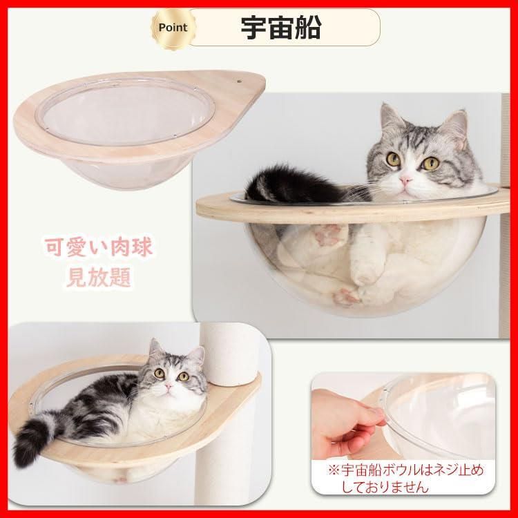 アップグレード版