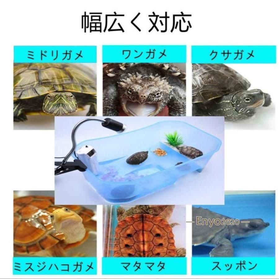 亀の水槽 大きい 両生類 カメの楽園 脱出防止 飼育ケース
