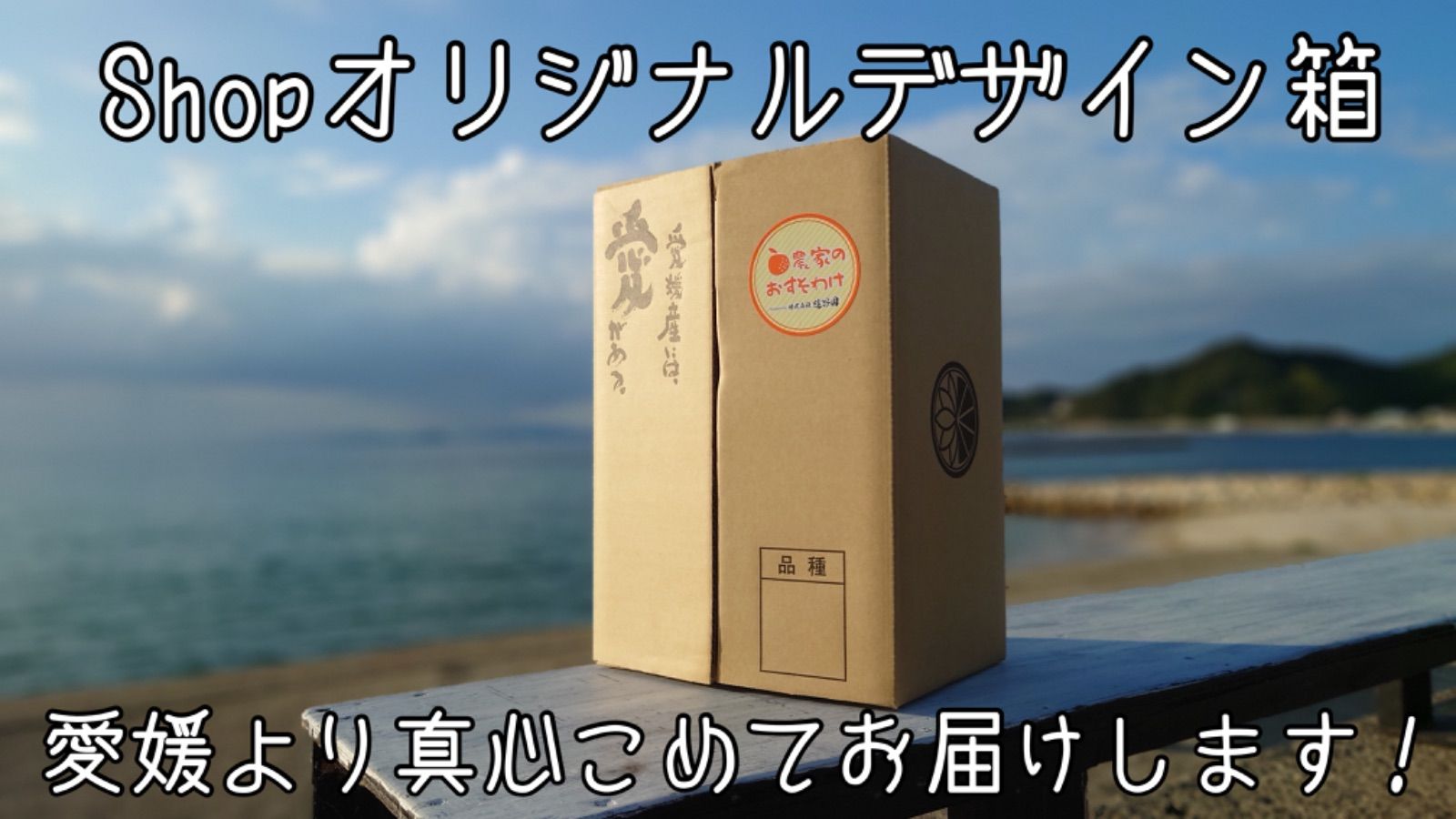 【愛果28号】約2.5kgサイズ混合  紅まどんな同品種あいか   柑橘 みかん 果物 くだもの フルーツ おすすめ 高級 人気 お取り寄せ グルメ ギフト 期間限定 数量限定 ご当地 愛媛県 松山市　農家直送　訳あり　ご家庭用送料無料　農家のおすそわけ