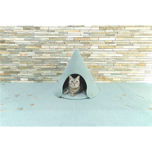 ラグタスコーン