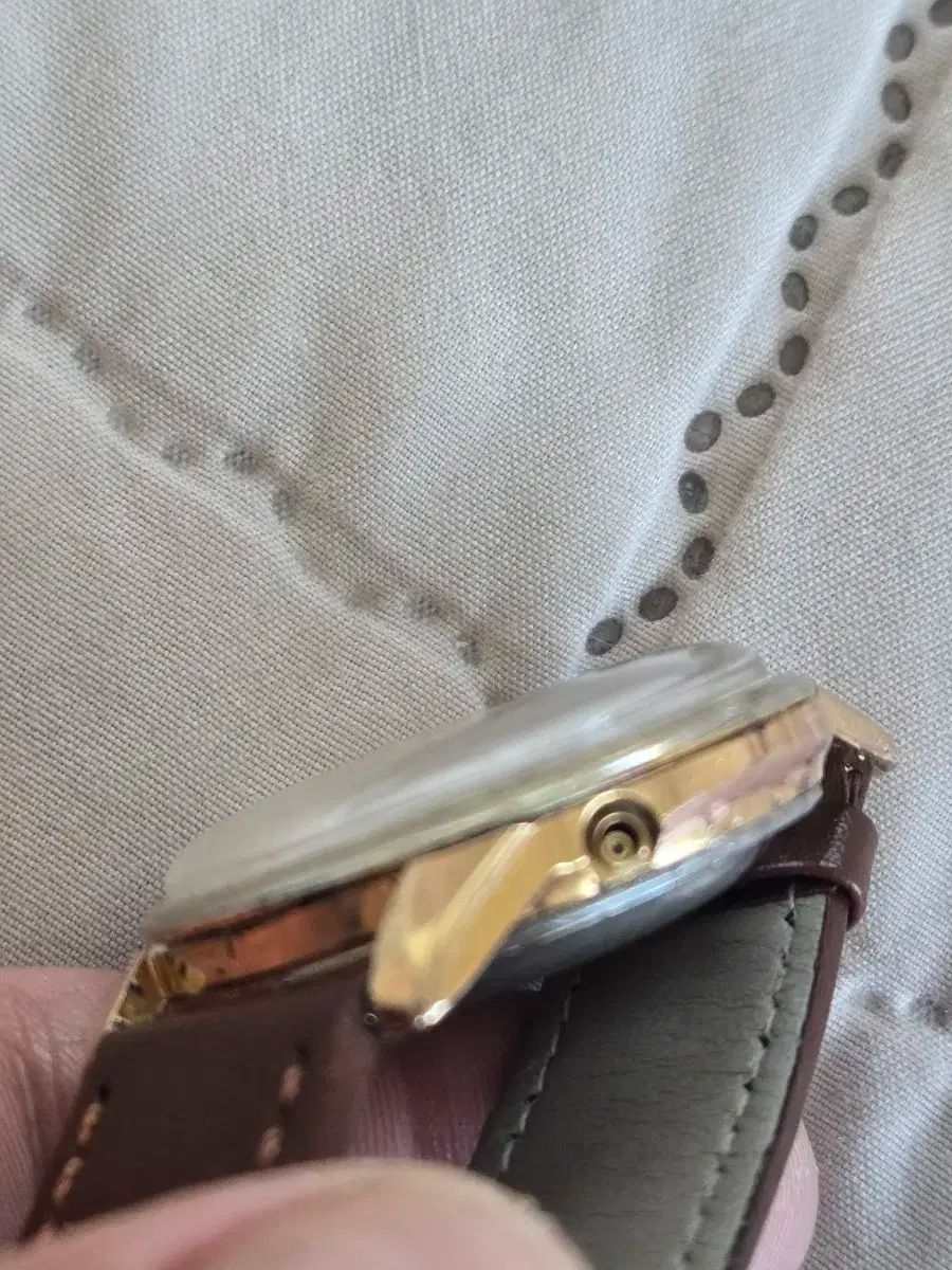 セイカーヴィンテージ ドルフィン針