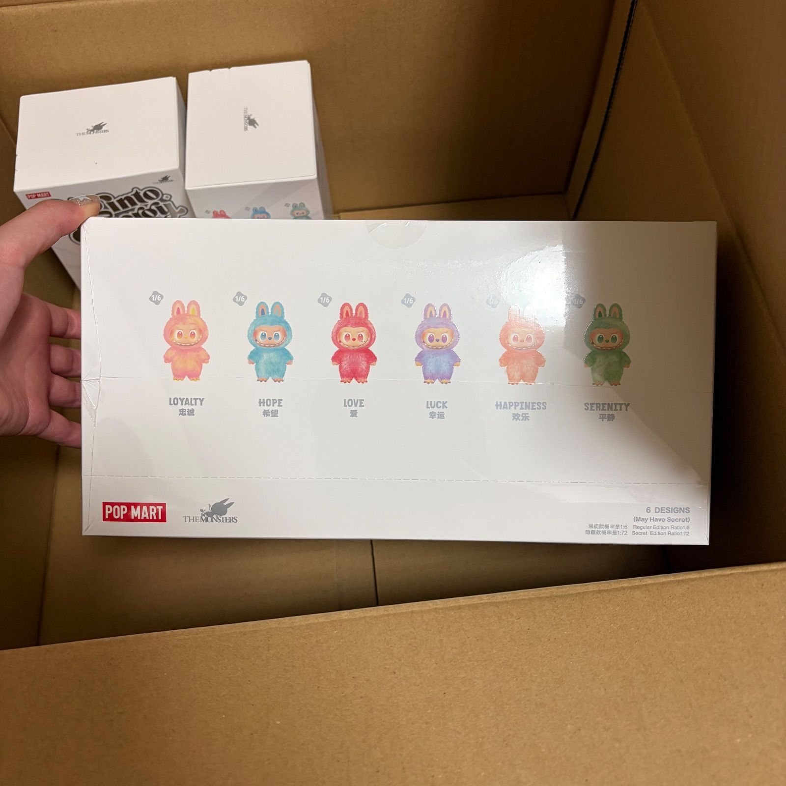 未開封・正規品ラブブ アソートボックス 1箱 ラブブ 正規品 Big into 