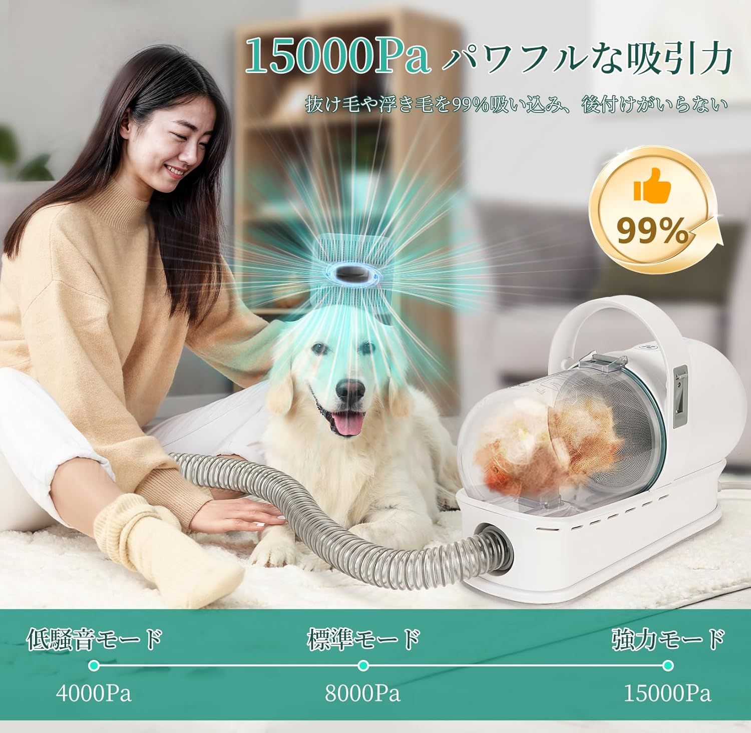 ペット