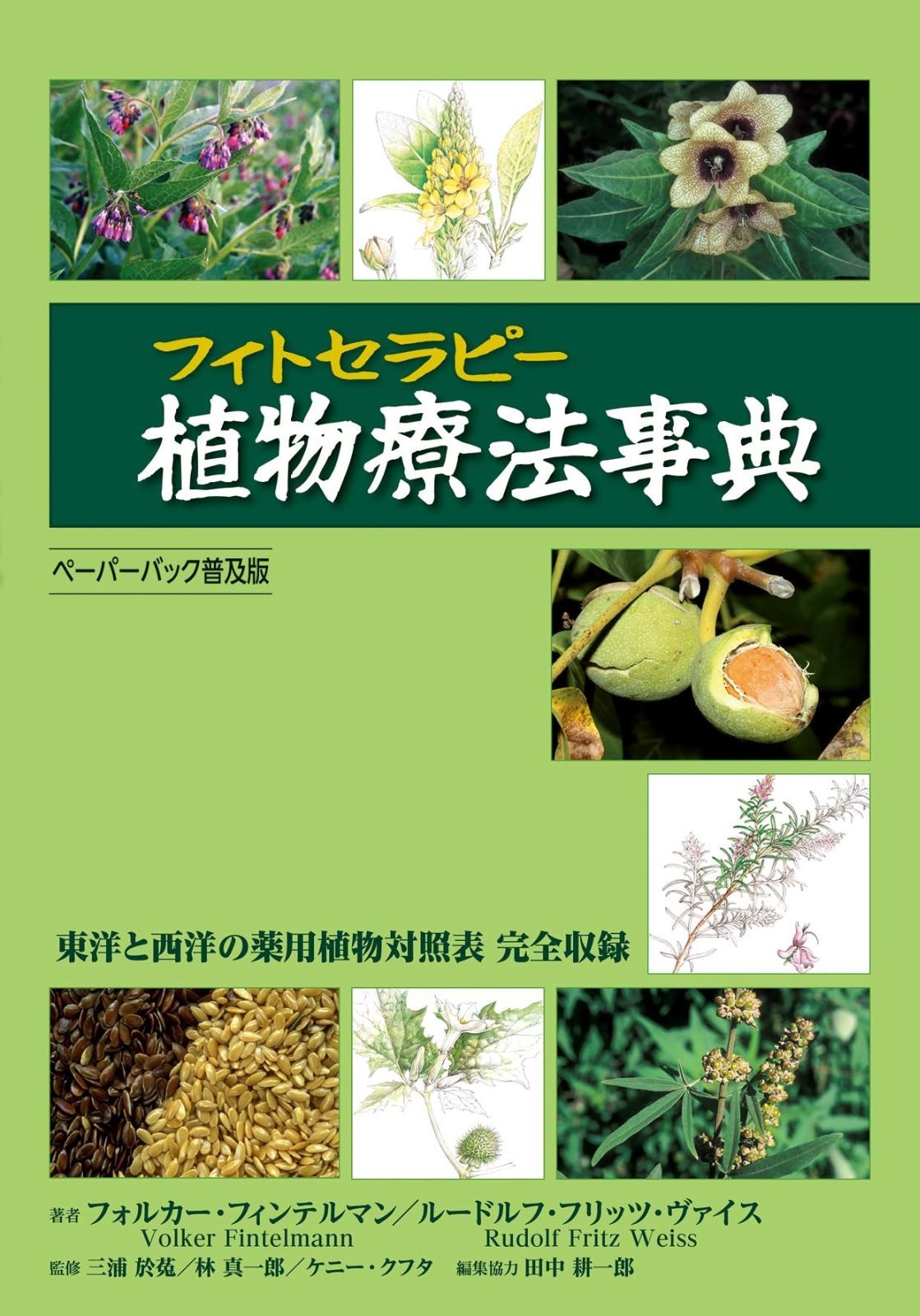 植物療法 フィトセラピー 事典 ペーパーバック普及版
