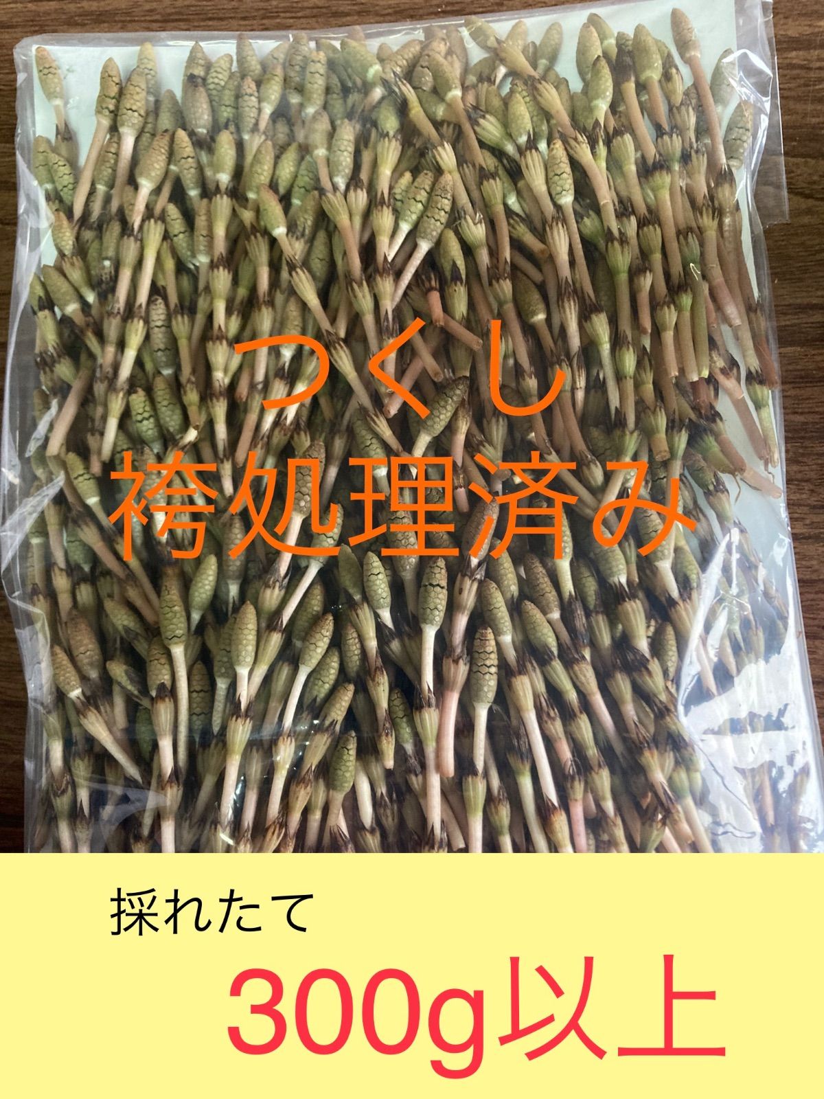 ツクシ つくし 土筆 300ｇ 採れたて - 野菜