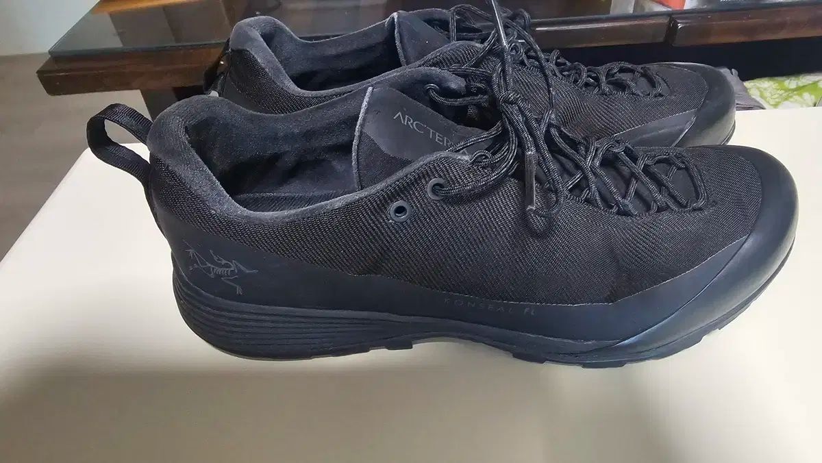 ARC TERYX アークテリクス ブラック スニーカー スポーツ