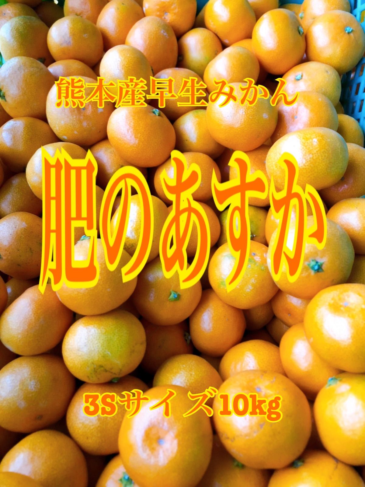 みかん苗木【肥のあすか】