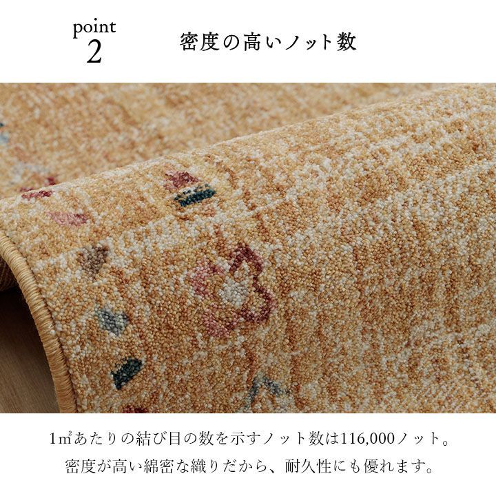 マイア