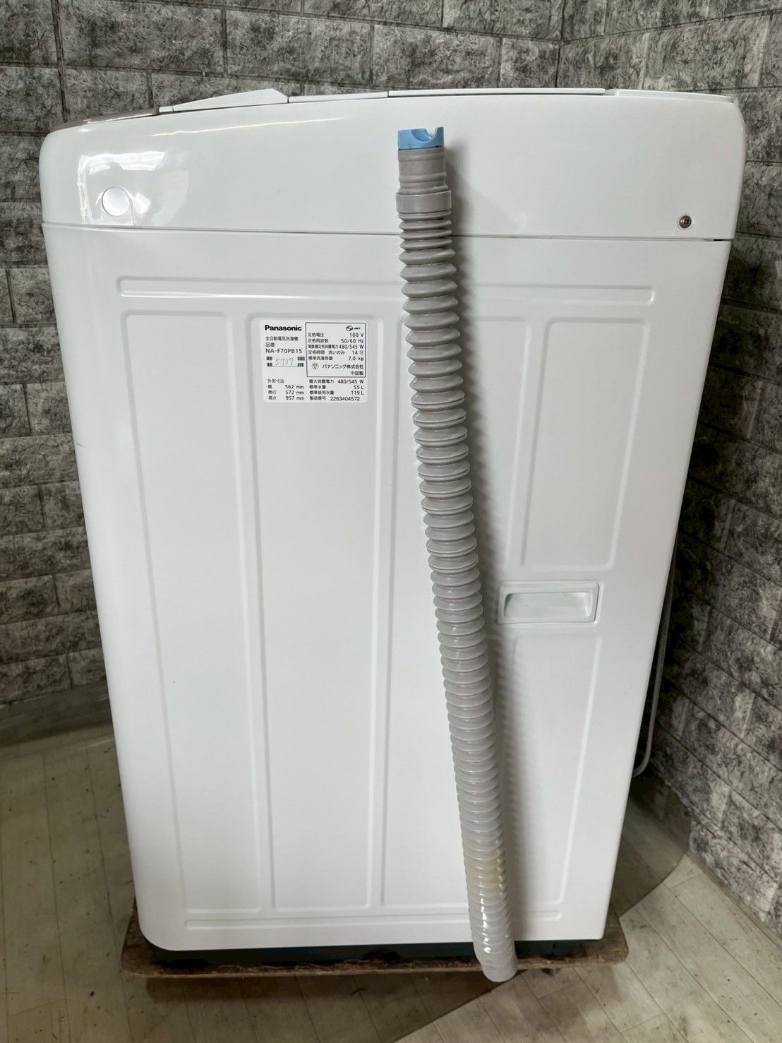 模写 船田玉樹 松図 色紙 (検索＝速水御舟 小林古径 堂本印象 不染鉄