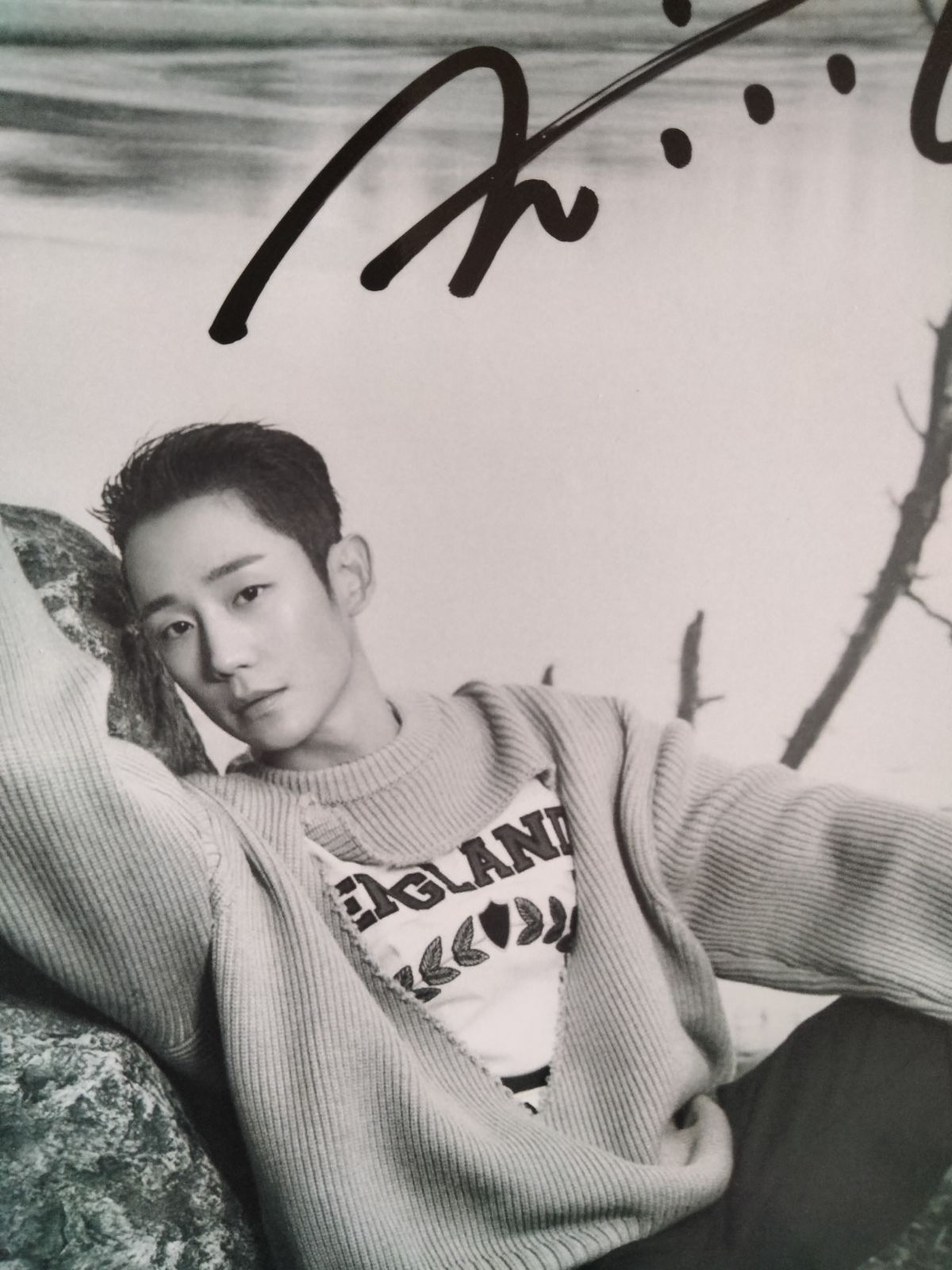 チョン・ヘイン直筆サイン入り2Lサイズ写真…Jung Hae-in‥ - タレント 