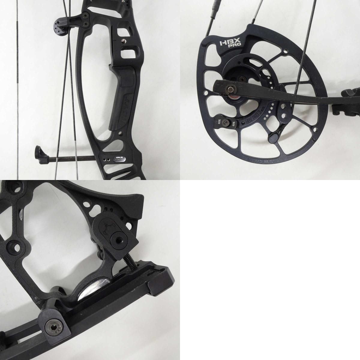 HOYT
