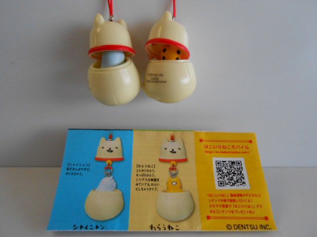 ♯Joi08QZはこいりねこますこっと5種