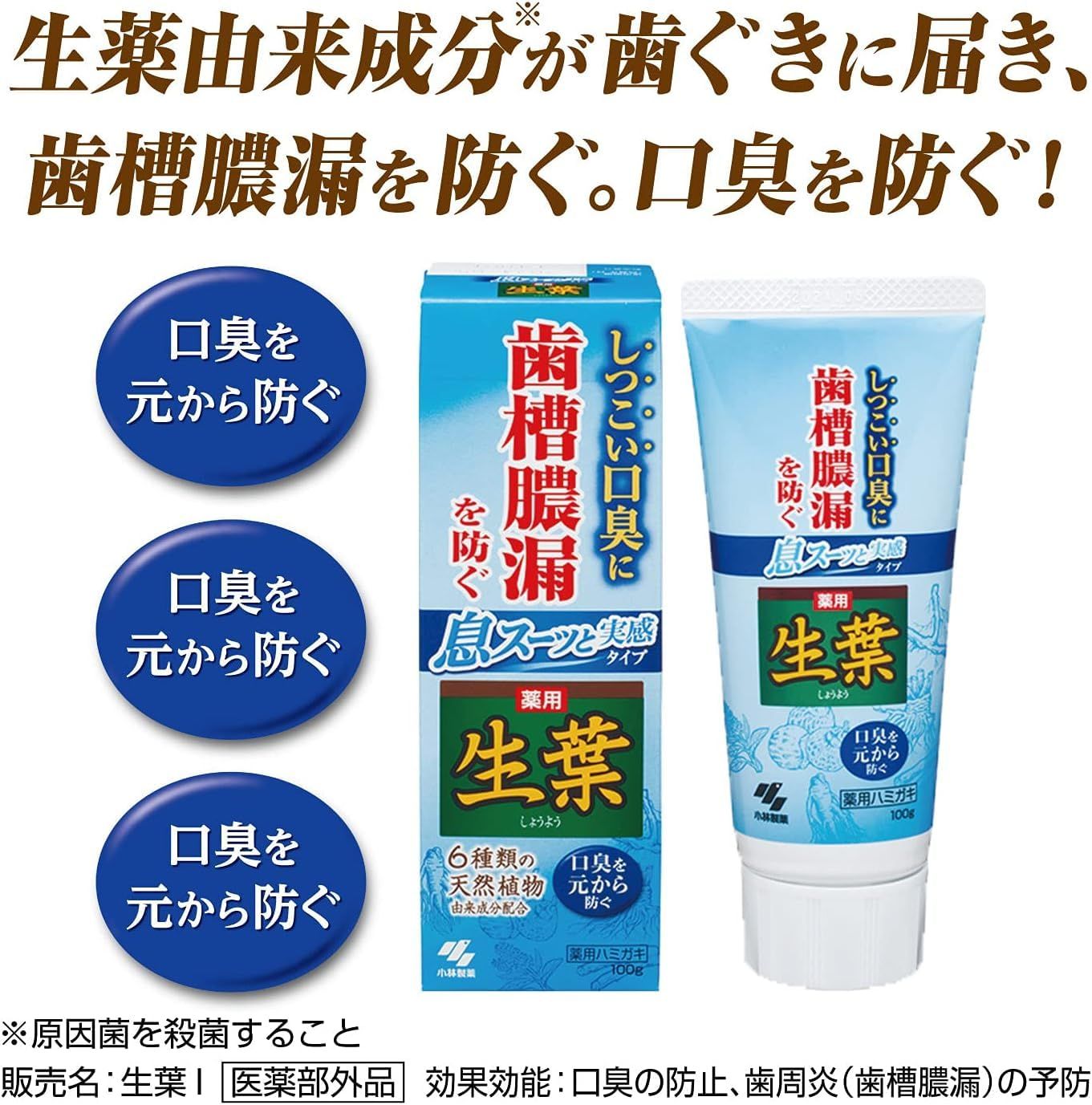 生葉 しょうよう 歯磨き粉 薬用ハミガキ 息スーッと実感タイプ 歯槽膿漏を防ぐ 和漢ハーブの香味 しつこい口臭に 医薬部外品 100g 5個セット +  Kunutonnオリジナルロゴ入りおまけ付 - メルカリ