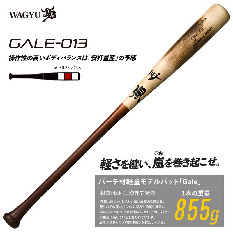 和牛JB バーチ材硬式木製バット Gale ゲイル 野球 軽量 中学硬式 高校 大学社会人 22FW GALE013