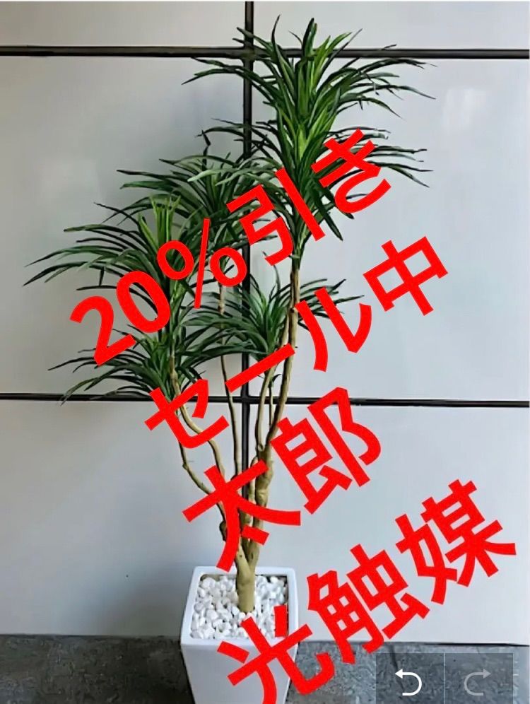 光触媒 人工観葉植物 ウォールグリーン フェイクグリーン ユーカリ