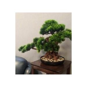 禅意迎客松盆栽装飾品 人工観葉植物