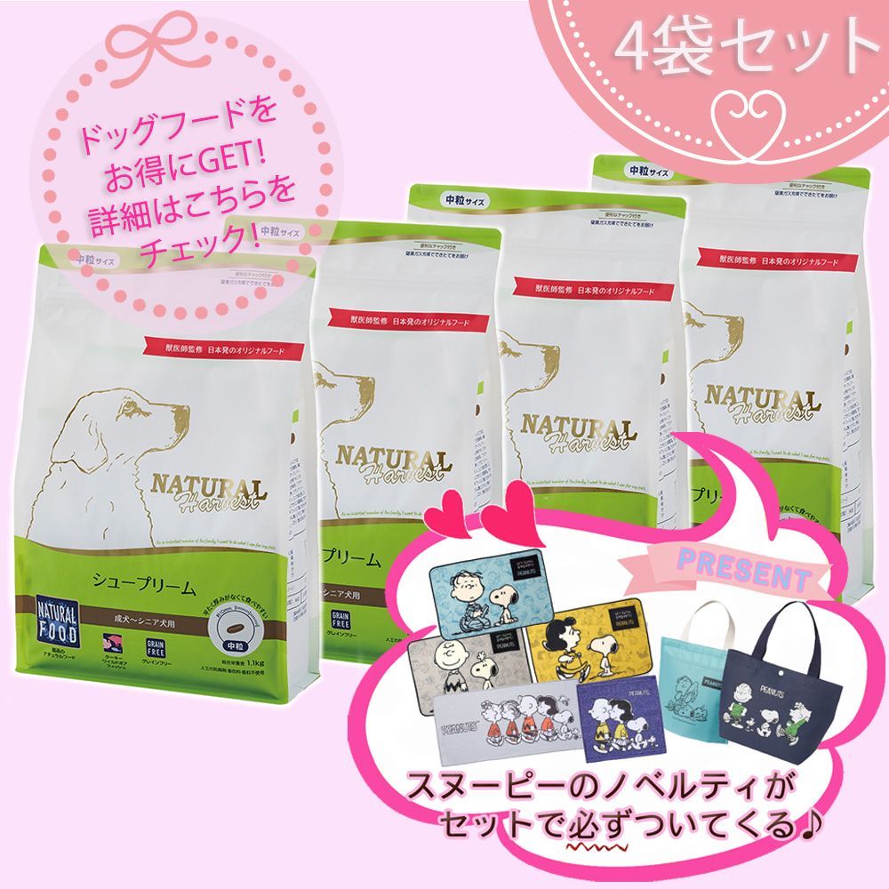 吉村和美さん フリーカップ コーヒーカップ 蕎麦猪口 2点セットで 三谷