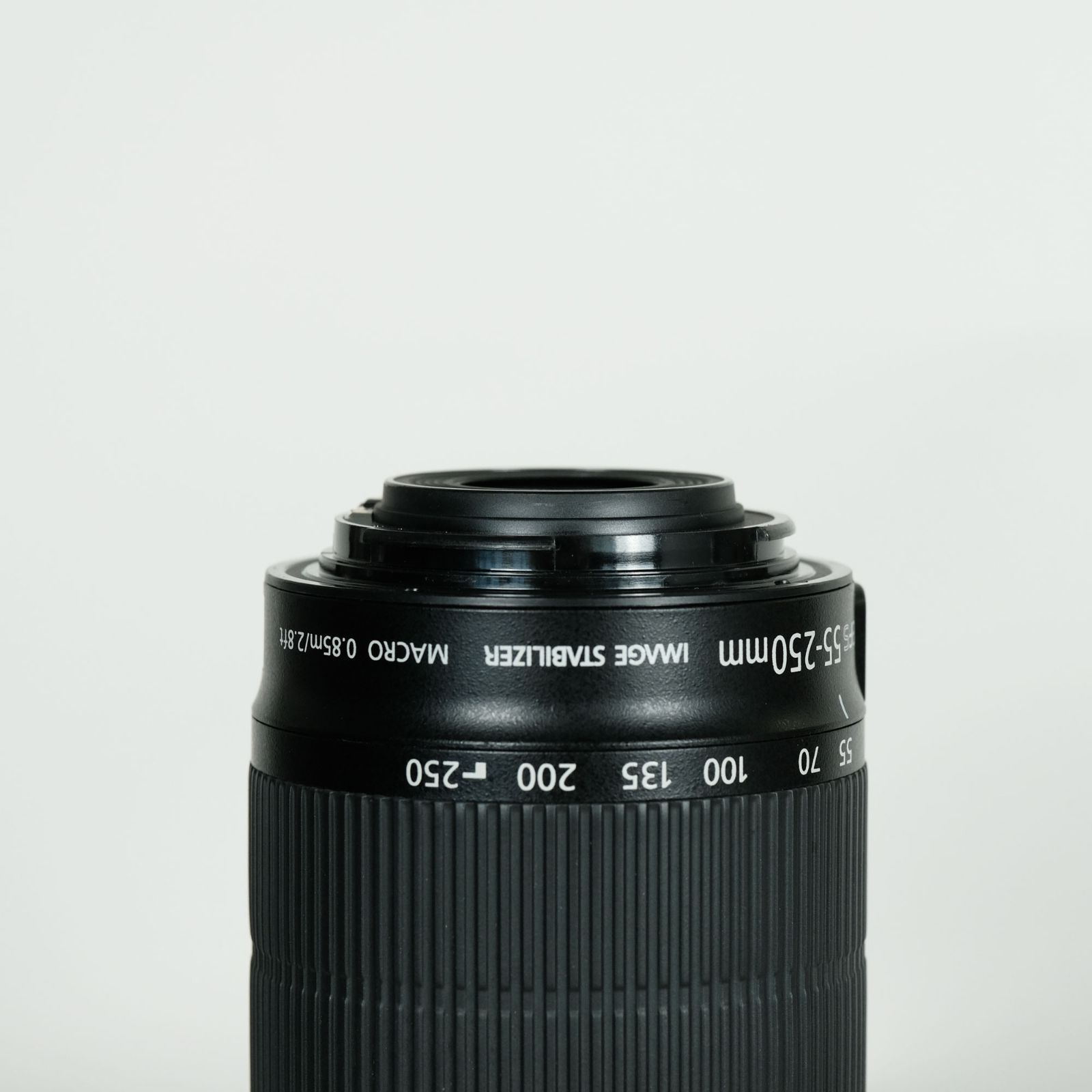 EF-S55-250mm F4-5.6 IS STM : 家電＆カメラ
