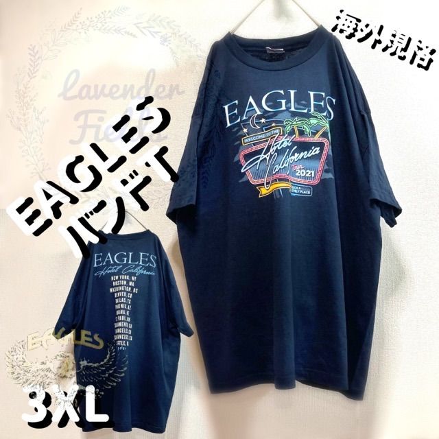 EAGLESバンドTシャツ美品イーグルス2021ホテルカリフォルニアツアー大きいサイズ70sリバイバルブラック黒ドンヘンリー肉厚ジョーウォルシュアメリカ製レトロ古着