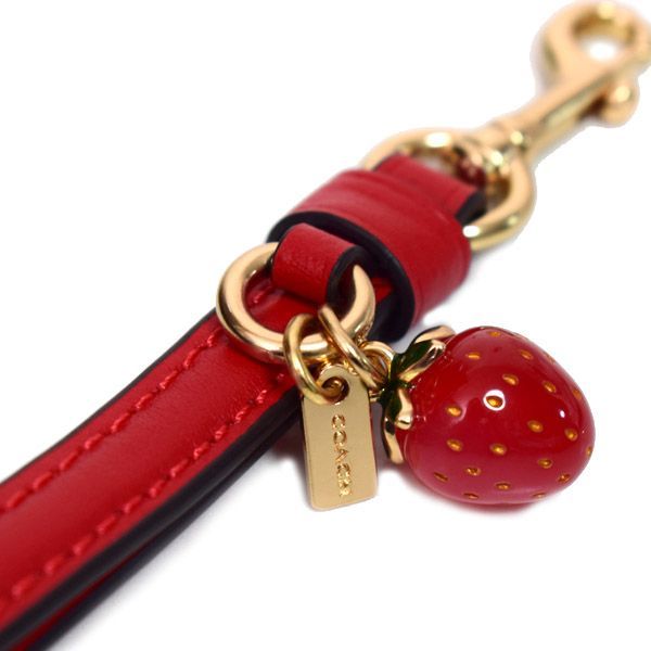 コーチ 長財布 COACH コーティングキャンバス レザー シグネチャー コーチ 長財布 COACH コーティングキャンバス レザー シグネチャー