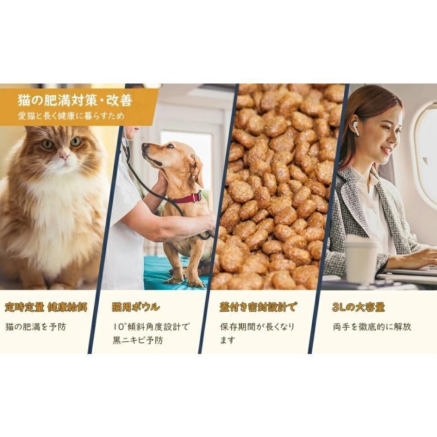 餌やり いたずら防止