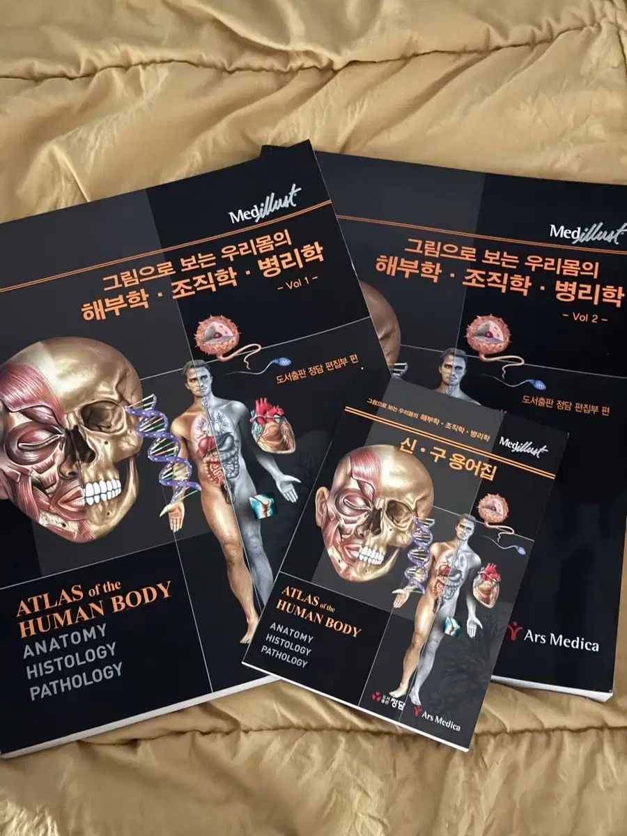 絵で見るウリの解剖学 組織学 病理学 Vol 1 Vol 2|用語集