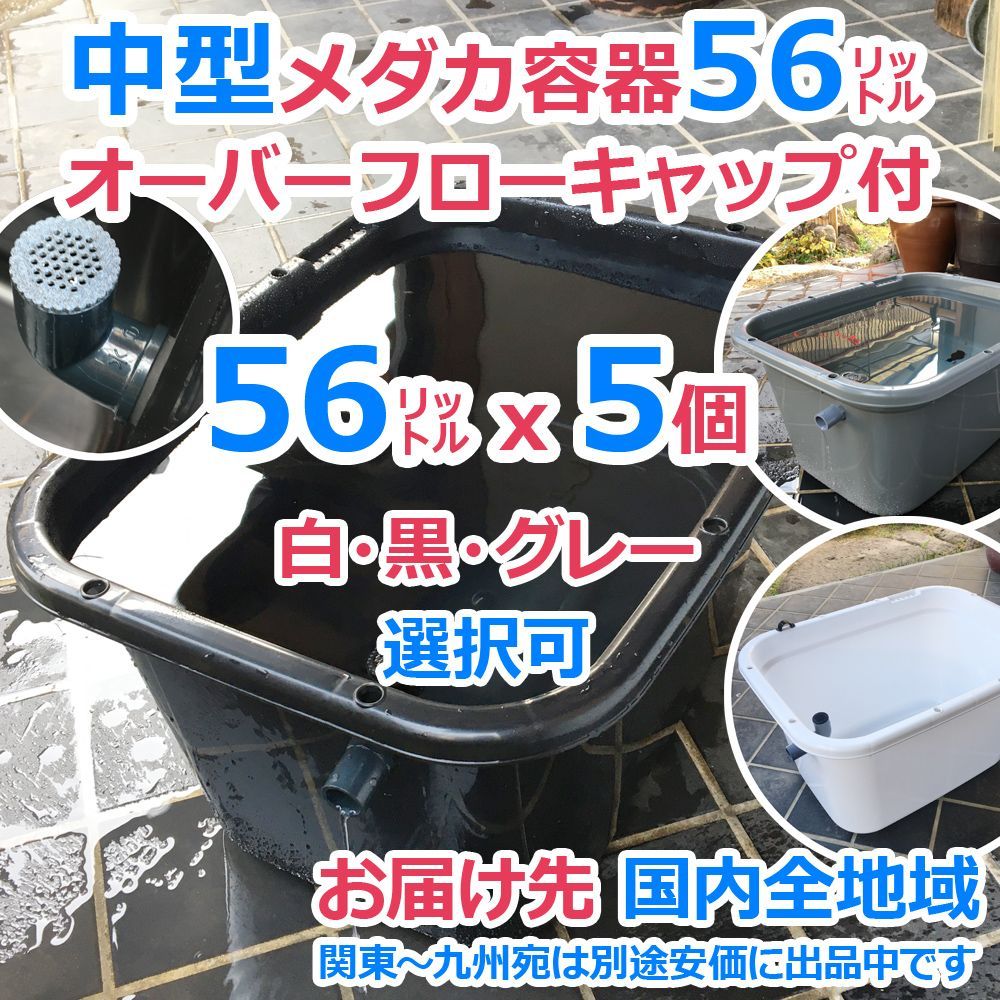 メダカ飼育ケース 56㍑x5個 オーバーフローキャップ付（全国発送可