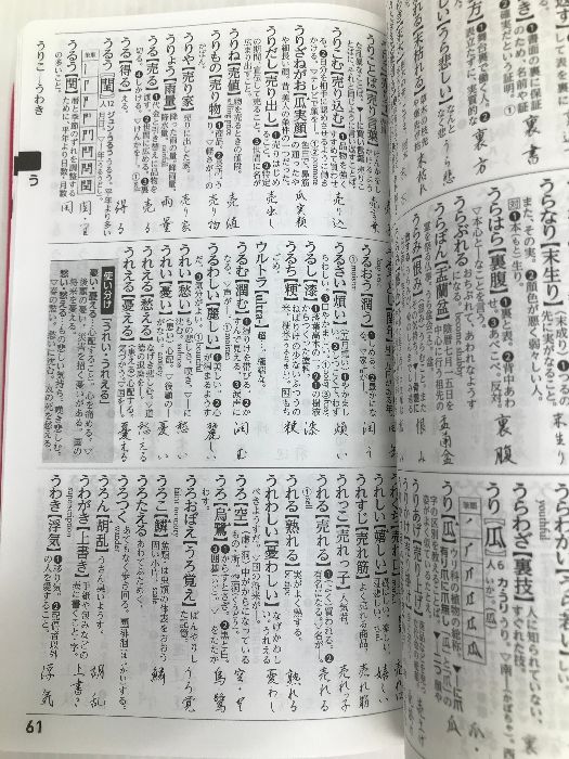 大きな字の常用国語辞典 [書籍]