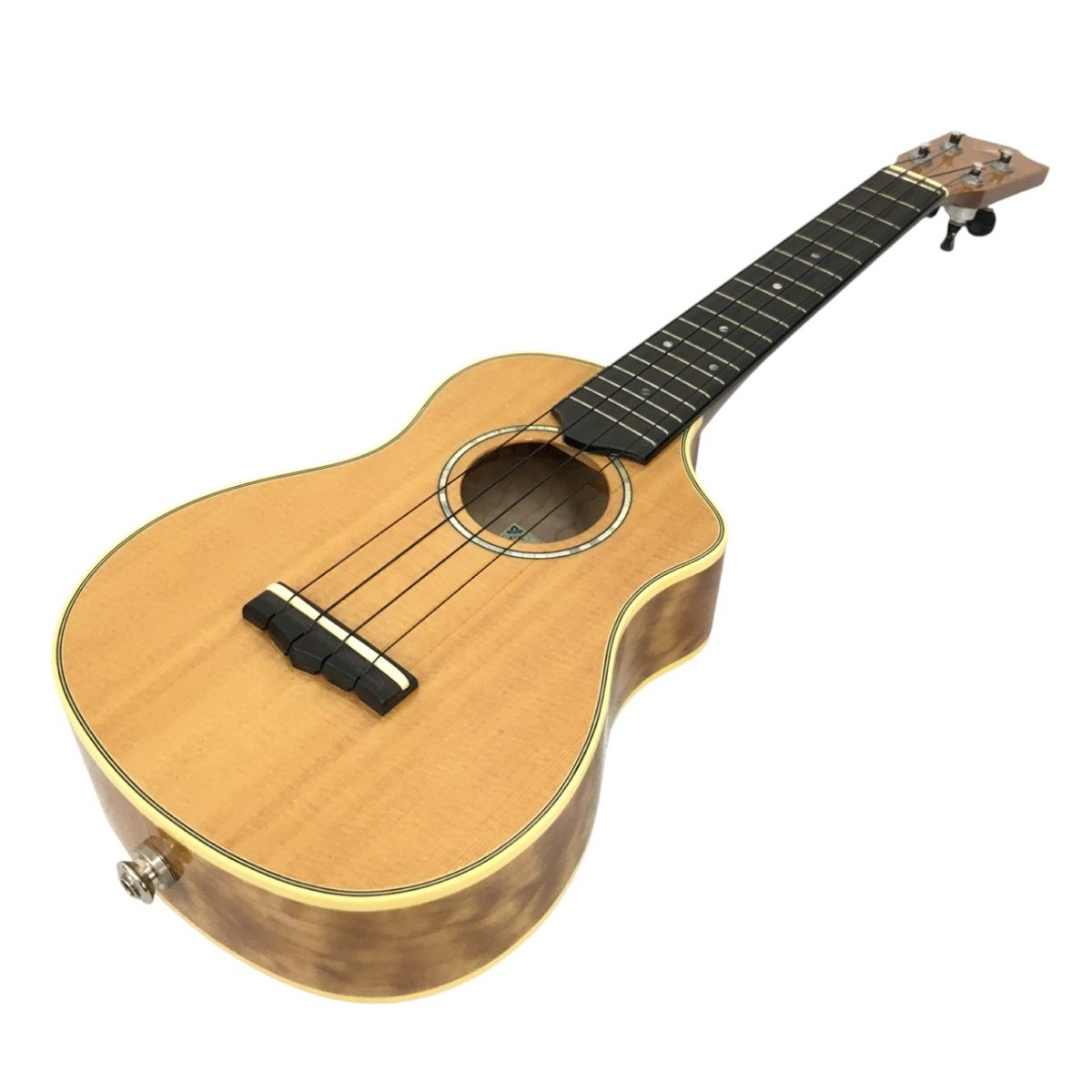 カーリーメイプル BACK