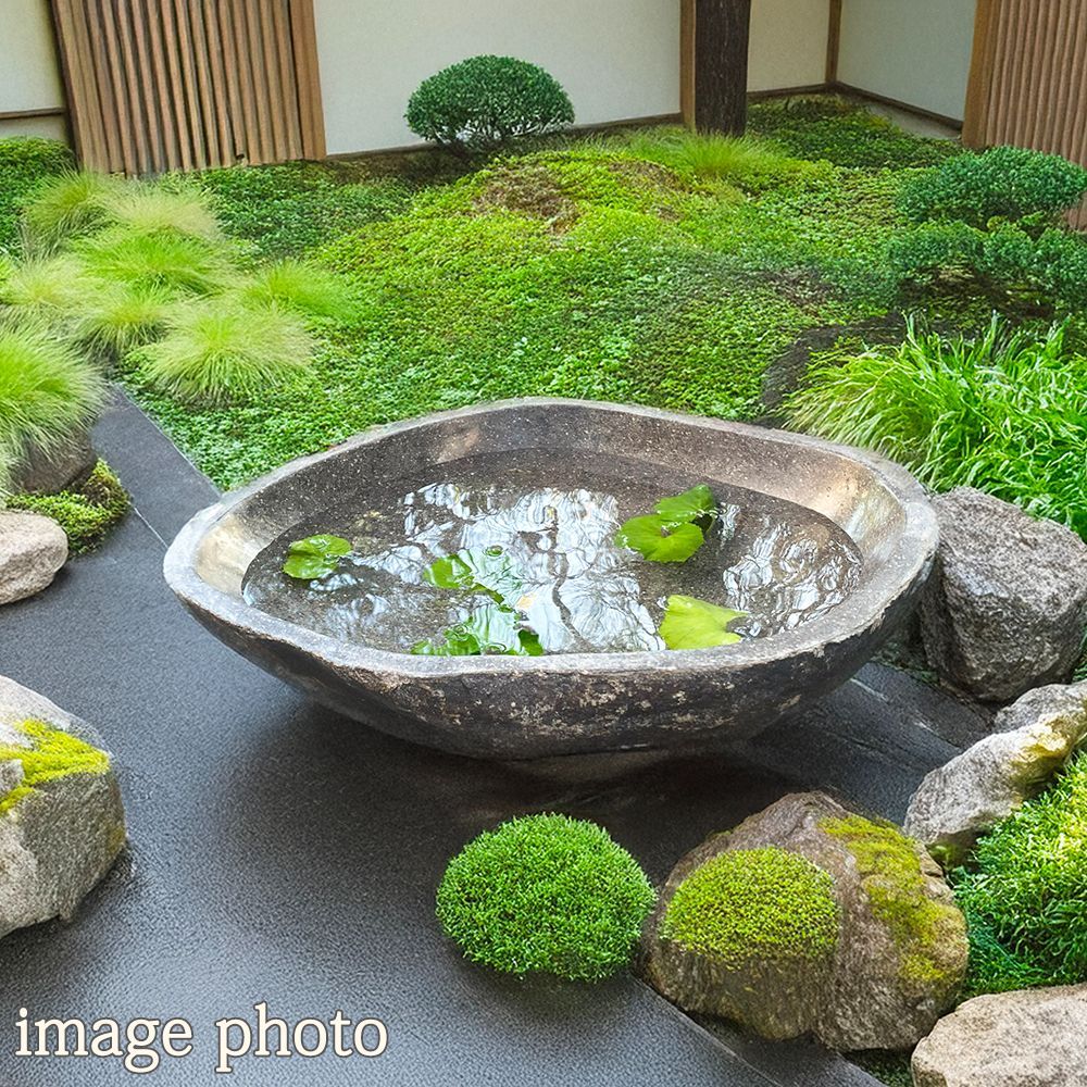 睡蓮鉢 石 大型 おしゃれ 庭 つくばい 手水鉢 みなし 蹲 水鉢 睡蓮鉢 石 大型 おしゃれ 庭 つくばい 手水鉢 みなし 蹲 水鉢