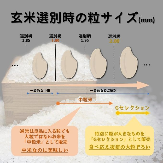 Ｇセレクション　令和５年　メルカリ　食べ比べセット　白米6kg(2kg×3)