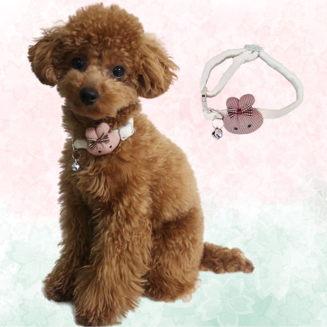 ニットネックレスfor Dog 通販卸値 www.nf.misis.ru