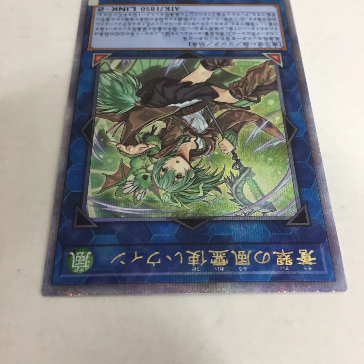 遊戯王 QCCU-JP188 蒼翠の風霊使いウィン 25th クォーターセンチュリー 