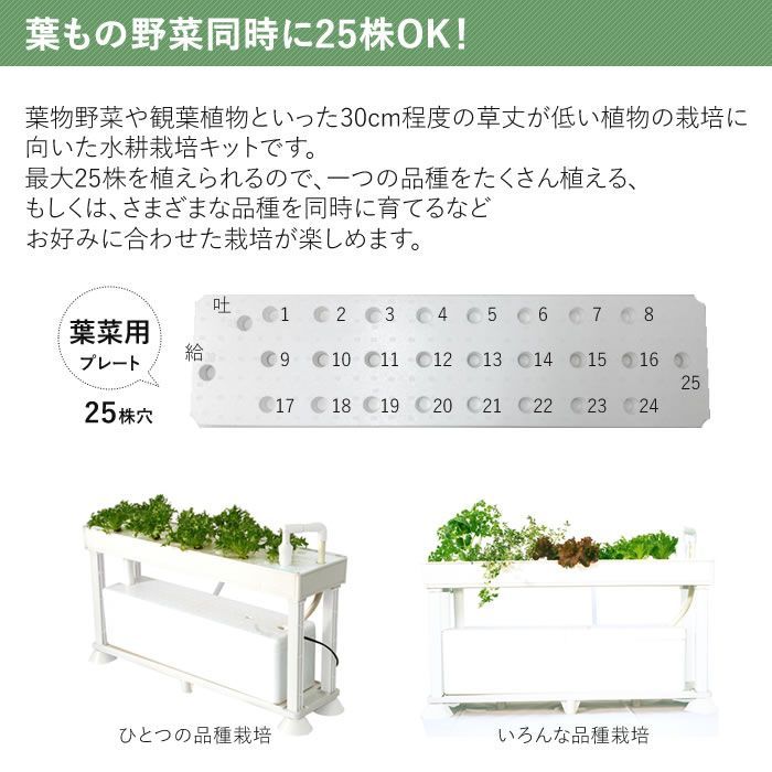 水耕栽培 ホームハイポニカ PLAABO プラーボ 水耕栽培キット 野菜 花 イチゴ 液体 肥料 スポンジ カントリーショップ メルカリ