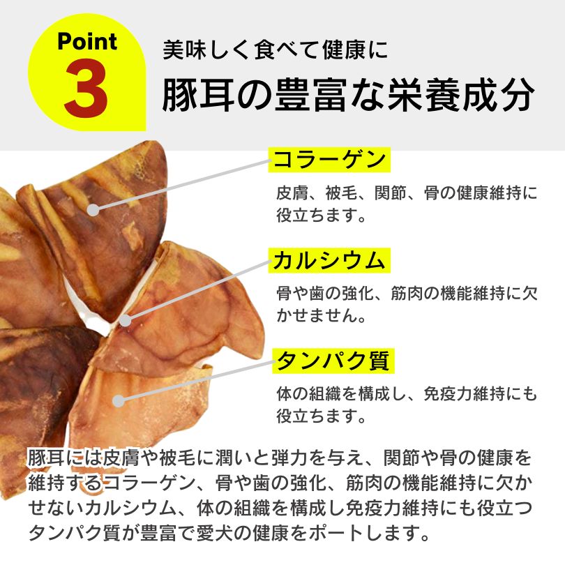 多頭飼い