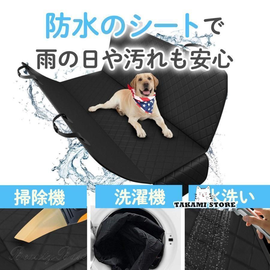 小型犬