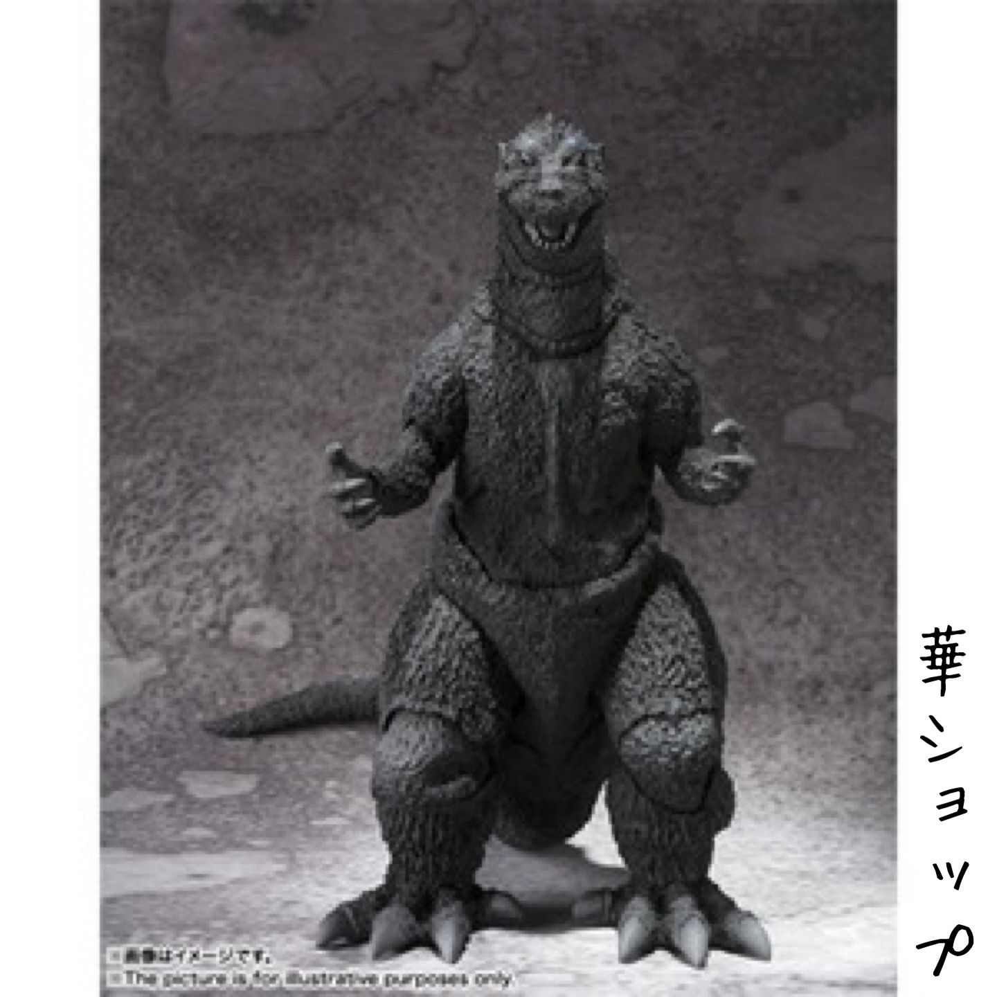 最終値下げS.H.MonsterArts ゴジラ (1954) &ゴジラ-1.0 4573102662415_A07.jpg