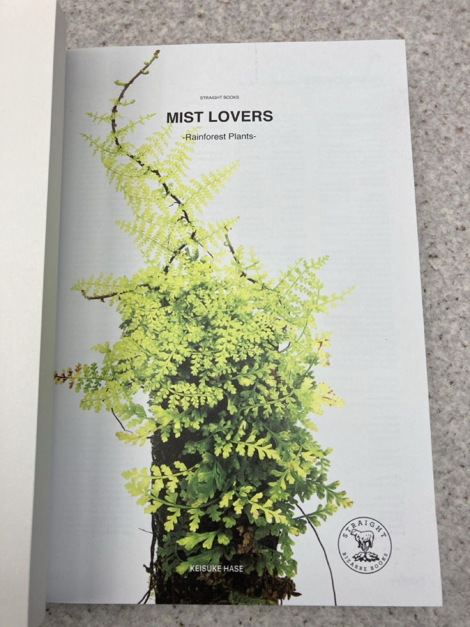 mist lovers　rainforest　plants 長谷　圭佑 mist lovers rainforest plants 長谷 圭佑